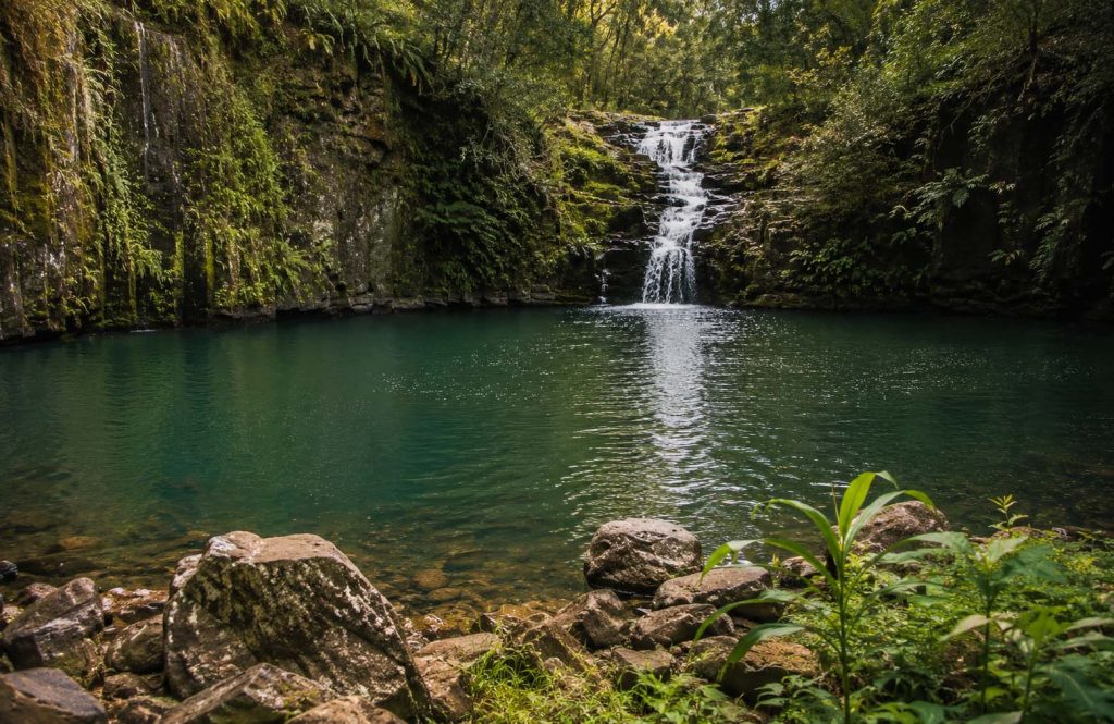 Waterfall in the Alstonville hinterland, Northern Rivers NSW